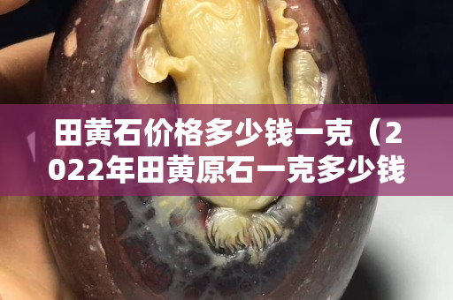 田黄石价格多少钱一克（2022年田黄原石一克多少钱）
