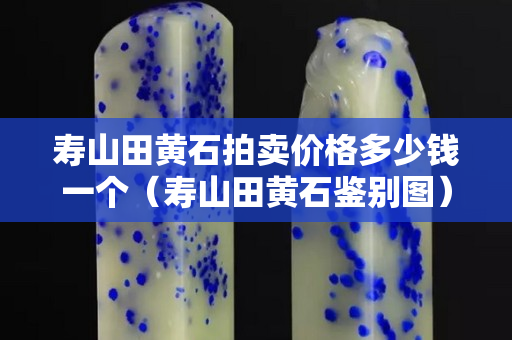 寿山田黄石拍卖价格多少钱一个（寿山田黄石鉴别图）