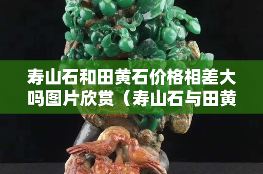 寿山石和田黄石价格相差大吗图片欣赏（寿山石与田黄石区别要点及图片）