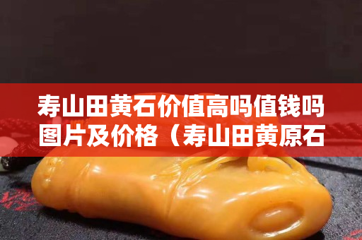 寿山田黄石价值高吗值钱吗图片及价格（寿山田黄原石图片）