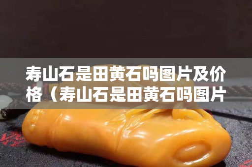 寿山石是田黄石吗图片及价格（寿山石是田黄石吗图片及价格大全）