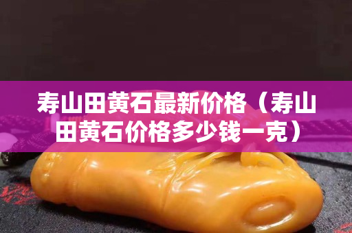 寿山田黄石最新价格（寿山田黄石价格多少钱一克）