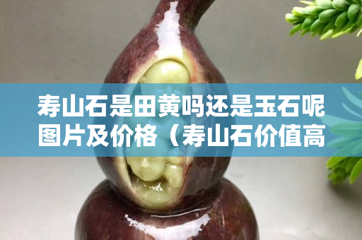 寿山石是田黄吗还是玉石呢图片及价格（寿山石价值高吗）
