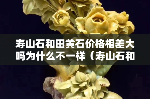 寿山石和田黄石价格相差大吗为什么不一样（寿山石和田黄石价格相差大吗为什么不一样呢）