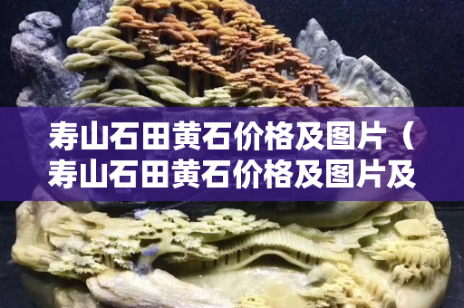 寿山石田黄石价格及图片（寿山石田黄石价格及图片及价格）