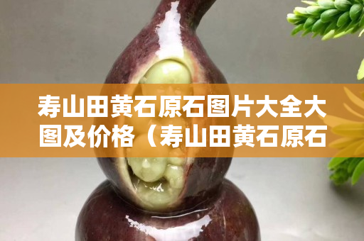 寿山田黄石原石图片大全大图及价格（寿山田黄石原石图片刚出土的田黄）