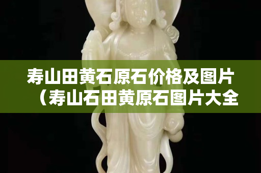 寿山田黄石原石价格及图片（寿山石田黄原石图片大全）