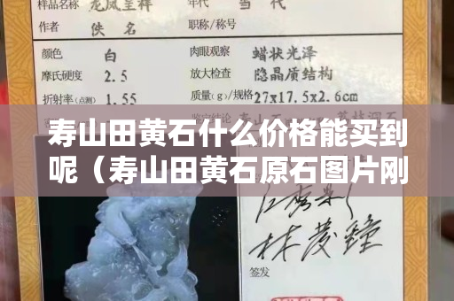 寿山田黄石什么价格能买到呢（寿山田黄石原石图片刚出土的田黄）