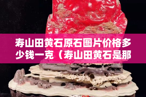 寿山田黄石原石图片价格多少钱一克（寿山田黄石是那个地方）