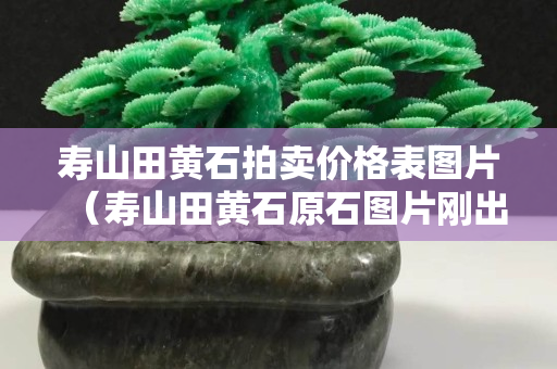 寿山田黄石拍卖价格表图片（寿山田黄石原石图片刚出土的田黄）