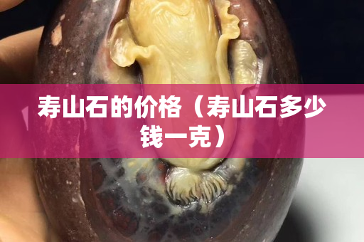 寿山石的价格（寿山石多少钱一克）