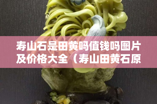 寿山石是田黄吗值钱吗图片及价格大全（寿山田黄石原石图片）