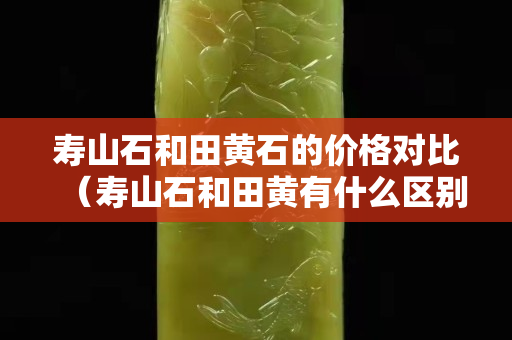 寿山石和田黄石的价格对比（寿山石和田黄有什么区别）