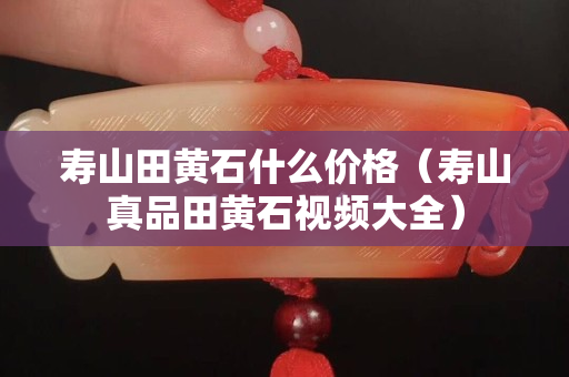 寿山田黄石什么价格（寿山真品田黄石视频大全）