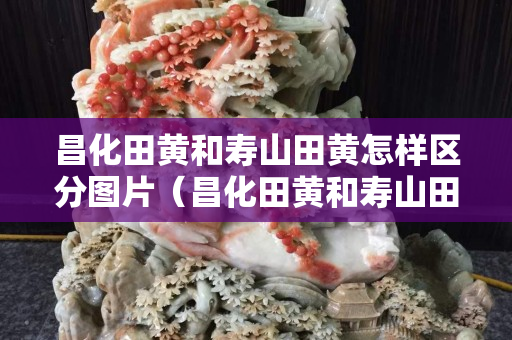 昌化田黄和寿山田黄怎样区分图片（昌化田黄和寿山田黄怎样区分图片大全）