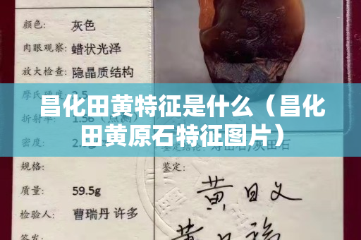 昌化田黄特征是什么（昌化田黄原石特征图片）