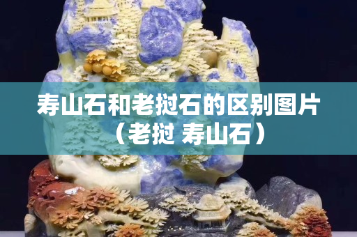 寿山石和老挝石的区别图片（老挝 寿山石）