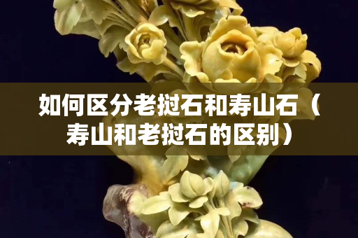 如何区分老挝石和寿山石（寿山和老挝石的区别）