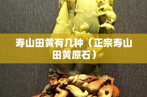 寿山田黄有几种（正宗寿山田黄原石）