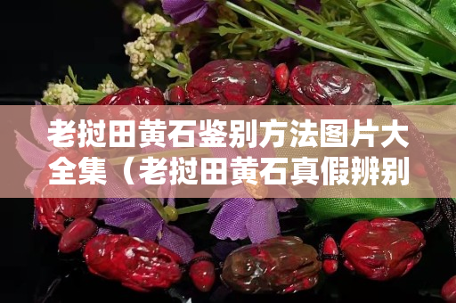 老挝田黄石鉴别方法图片大全集（老挝田黄石真假辨别）