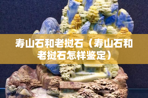 寿山石和老挝石（寿山石和老挝石怎样鉴定）