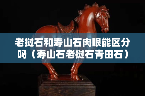 老挝石和寿山石肉眼能区分吗（寿山石老挝石青田石）