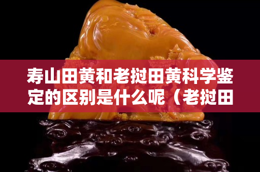 寿山田黄和老挝田黄科学鉴定的区别是什么呢（老挝田黄与寿山石区别）