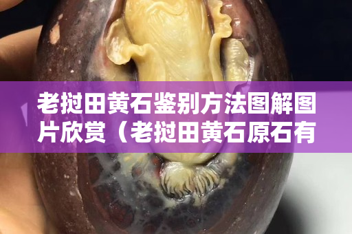 老挝田黄石鉴别方法图解图片欣赏（老挝田黄石原石有收藏价值吗）