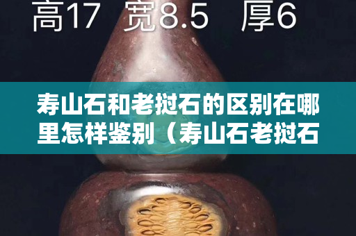 寿山石和老挝石的区别在哪里怎样鉴别（寿山石老挝石青田石）