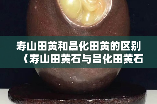 寿山田黄和昌化田黄的区别（寿山田黄石与昌化田黄石的区别）