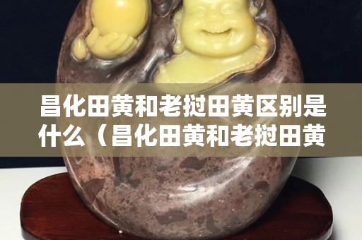 昌化田黄和老挝田黄区别是什么（昌化田黄和老挝田黄哪个有收藏价值）