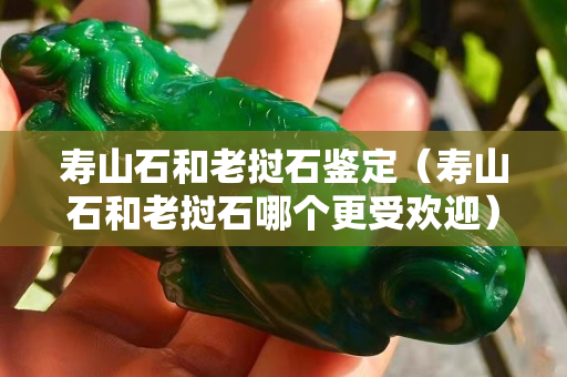 寿山石和老挝石鉴定（寿山石和老挝石哪个更受欢迎）