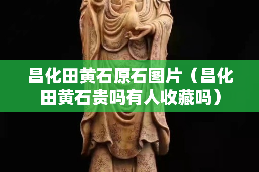 昌化田黄石原石图片（昌化田黄石贵吗有人收藏吗）