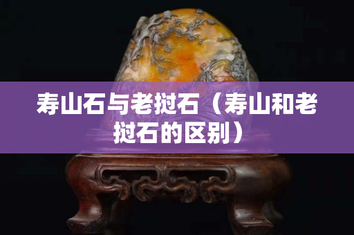 寿山石与老挝石（寿山和老挝石的区别）