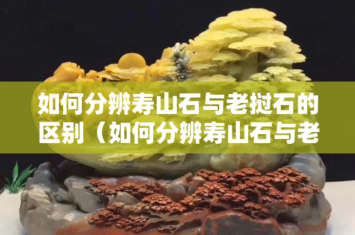 如何分辨寿山石与老挝石的区别（如何分辨寿山石与老挝石的区别呢）