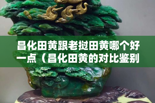 昌化田黄跟老挝田黄哪个好一点（昌化田黄的对比鉴别）