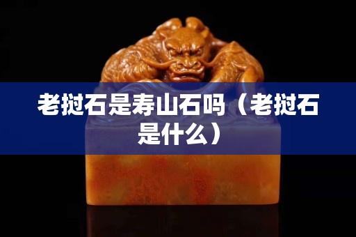 老挝石是寿山石吗（老挝石是什么）
