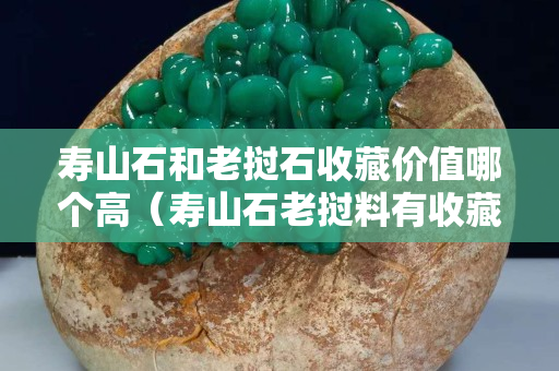 寿山石和老挝石收藏价值哪个高（寿山石老挝料有收藏价值吗）