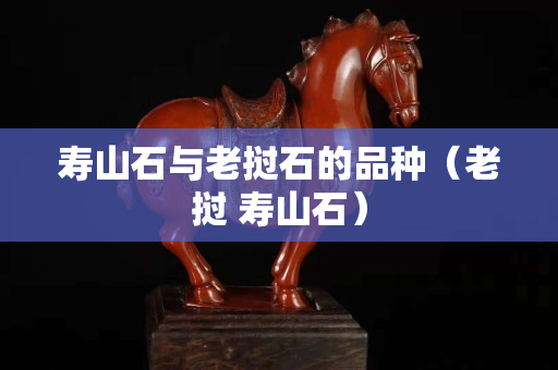 寿山石与老挝石的品种（老挝 寿山石）