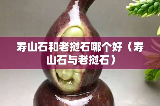 寿山石和老挝石哪个好（寿山石与老挝石）