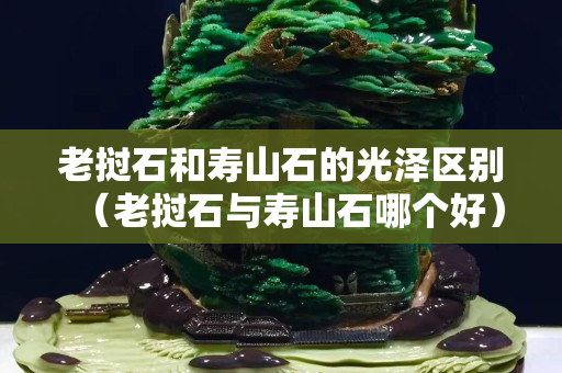 老挝石和寿山石的光泽区别（老挝石与寿山石哪个好）