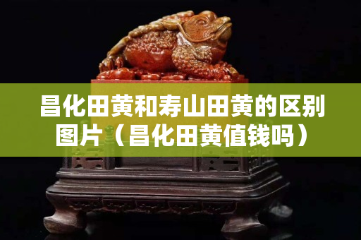 昌化田黄和寿山田黄的区别图片（昌化田黄值钱吗）