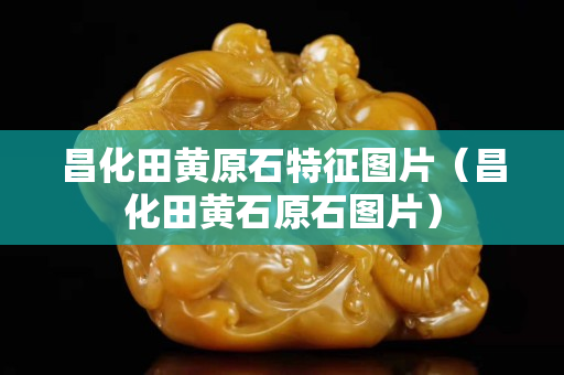 昌化田黄原石特征图片（昌化田黄石原石图片）