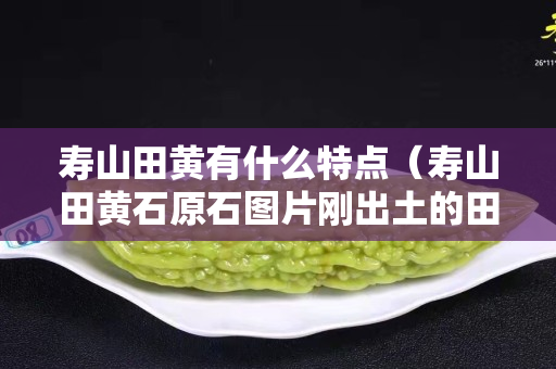 寿山田黄有什么特点（寿山田黄石原石图片刚出土的田黄）