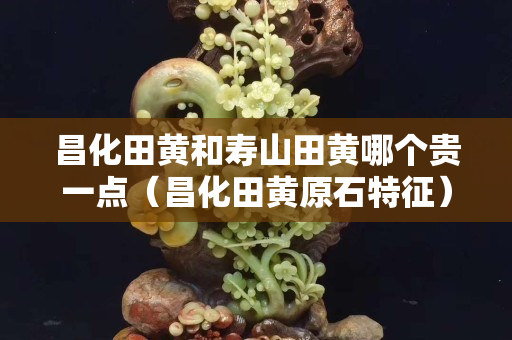 昌化田黄和寿山田黄哪个贵一点（昌化田黄原石特征）