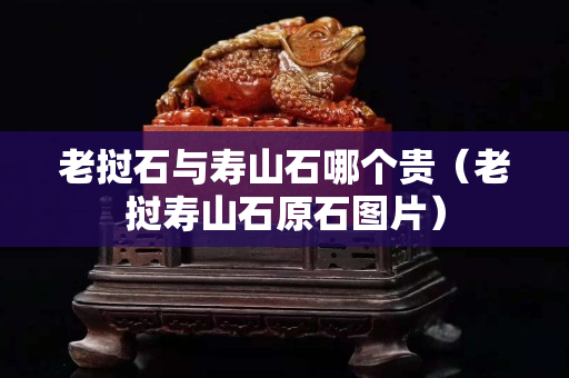 老挝石与寿山石哪个贵（老挝寿山石原石图片）