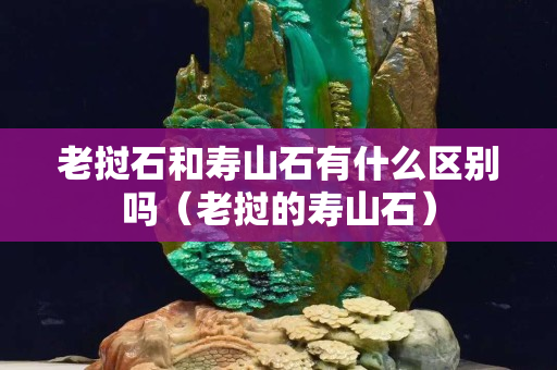 老挝石和寿山石有什么区别吗（老挝的寿山石）