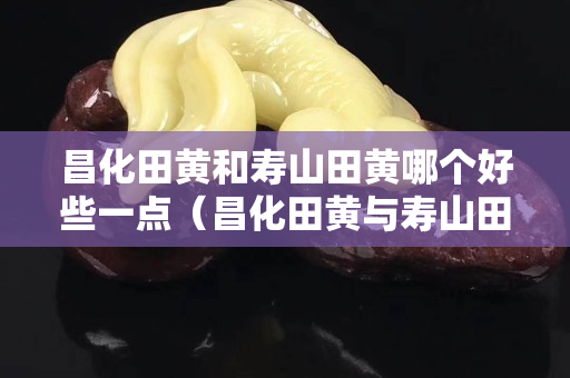 昌化田黄和寿山田黄哪个好些一点（昌化田黄与寿山田黄的区别）