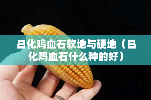 昌化鸡血石软地与硬地（昌化鸡血石什么种的好）