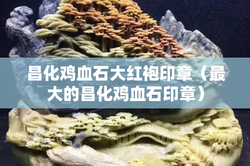 昌化鸡血石大红袍印章（最大的昌化鸡血石印章）